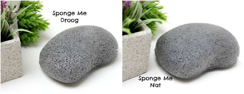 sponge me